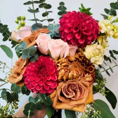 13_00e07a34-24e4-4743-9882-7735bfffa98b