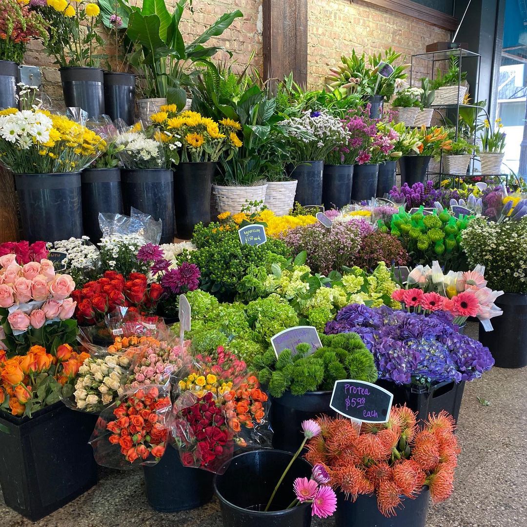 181854376_300719224872956_6798749375790309168_n (2)