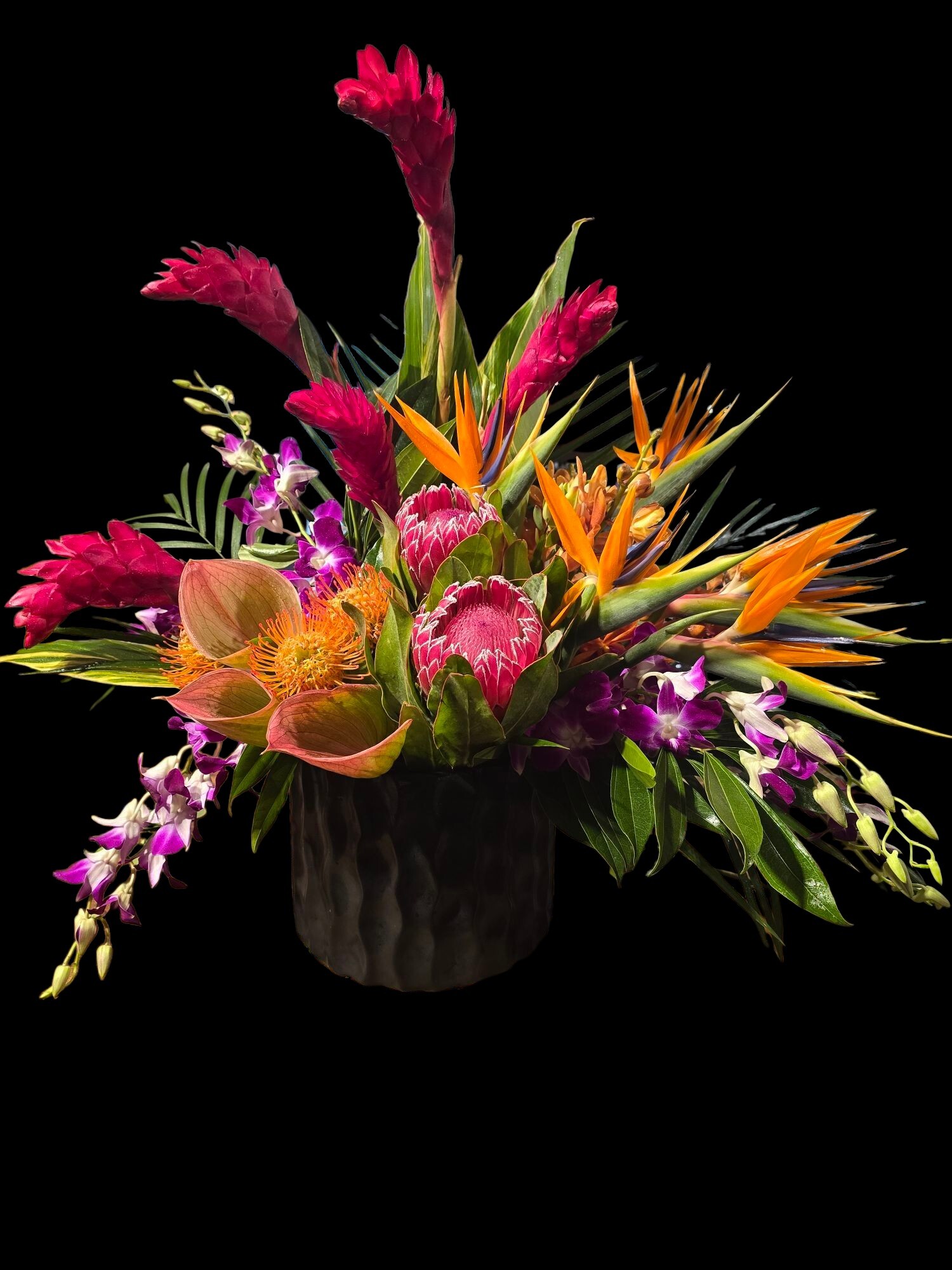 491850032_1101817115304182_2198734195800444333_n