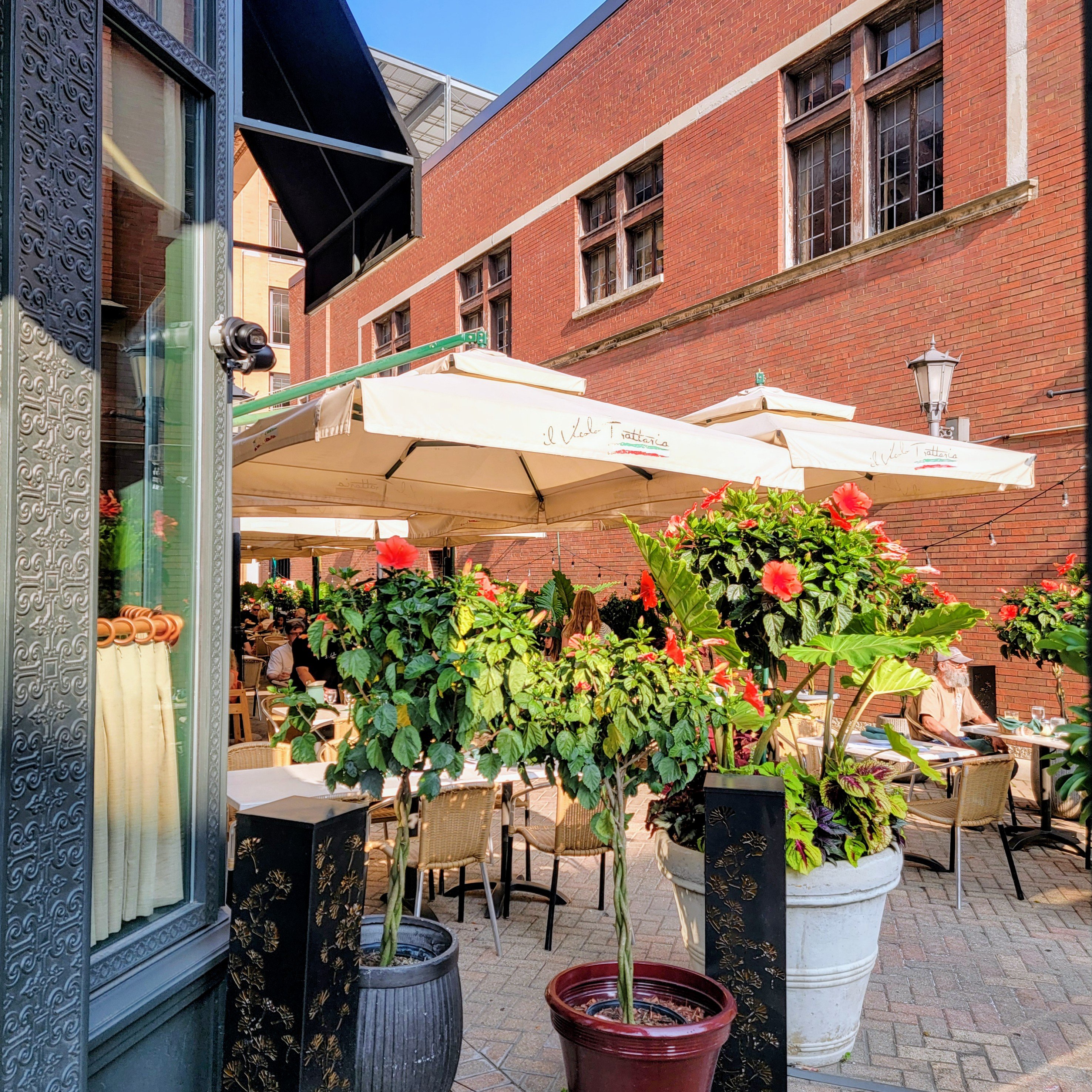 5c0e0ddd-f331-4263-94d6-e160f39d2e0e~1