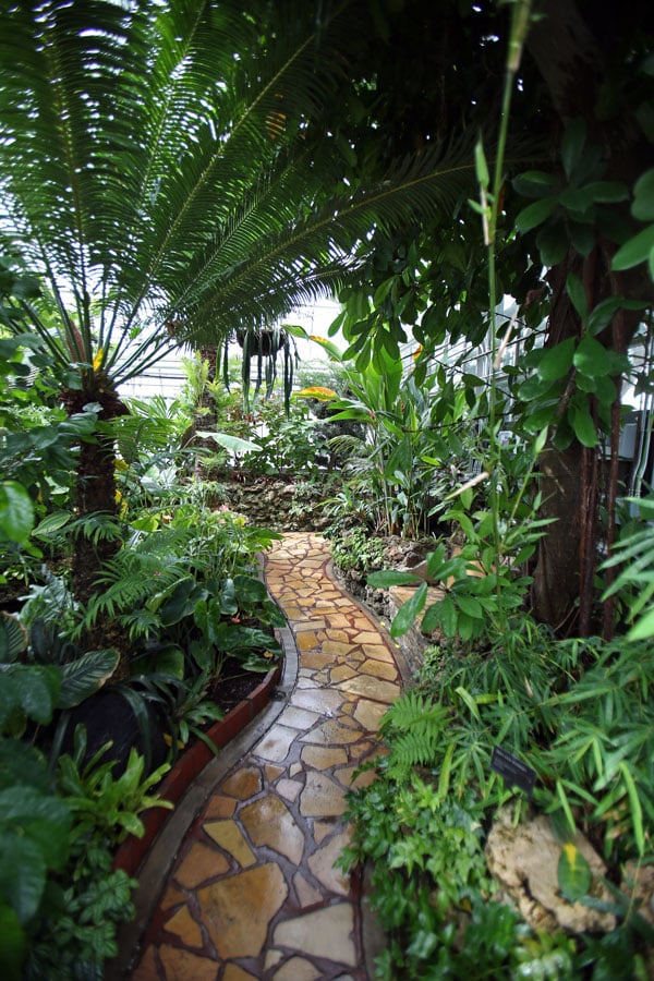 Oak-Park-Conservatory