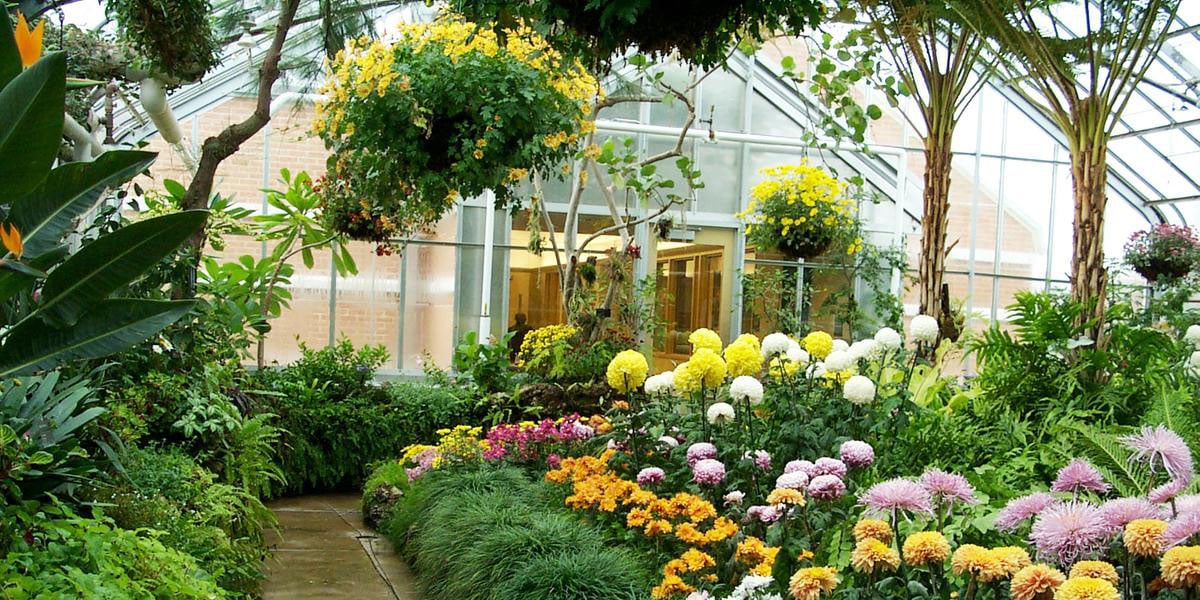OPConservatory