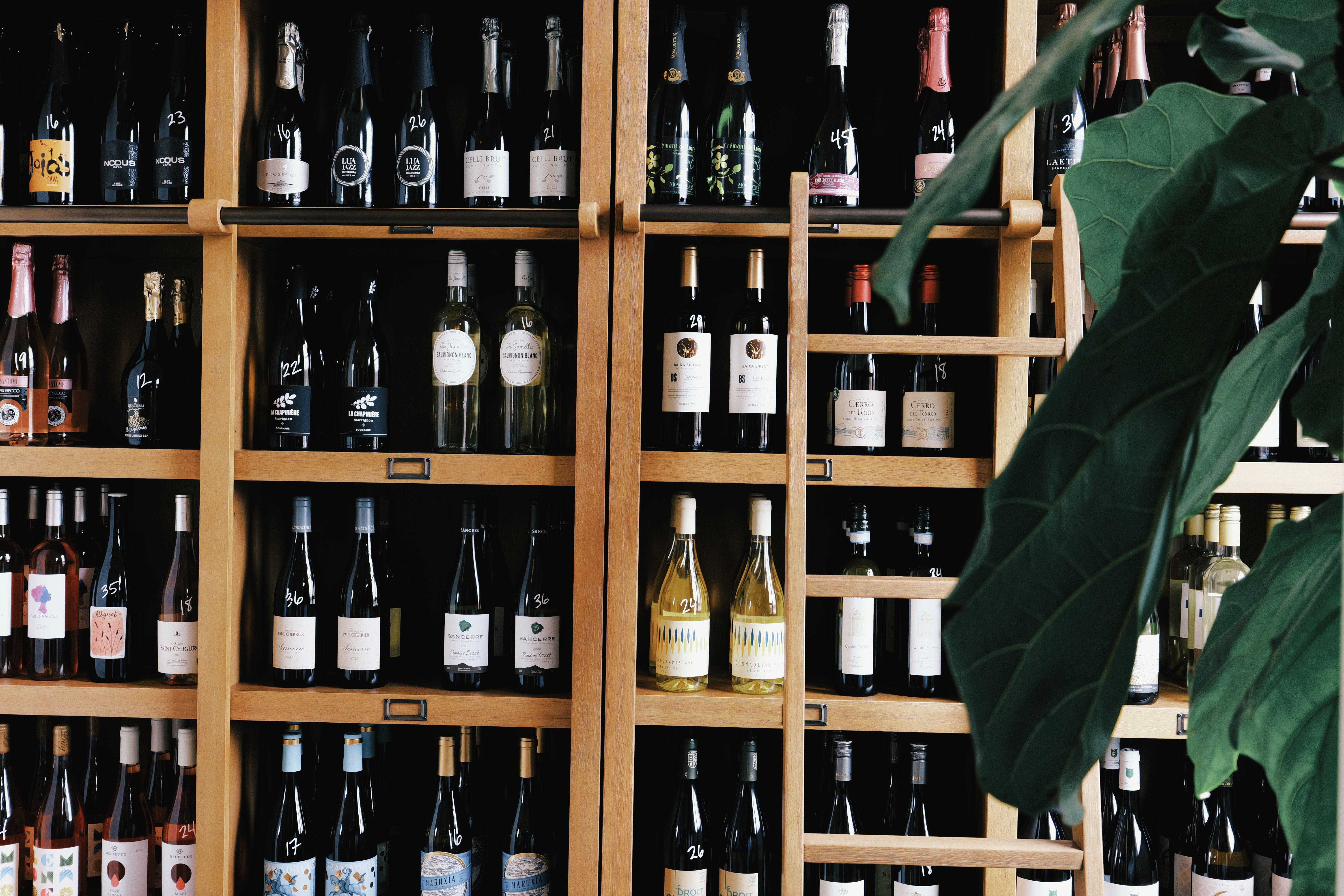 P1000168_lab (1) (1)