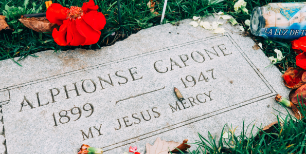 Untitled design - 2025-11-20T133211.493 Untitled design - 2025-11-20T133211.493