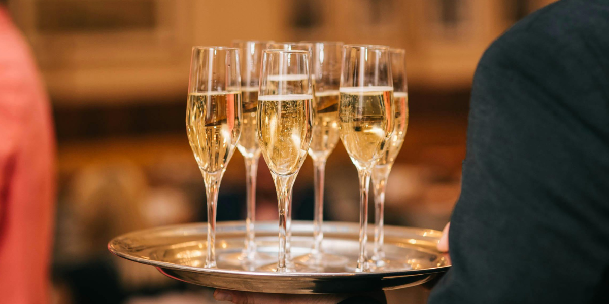 Untitled design - 2026-02-19T094442.229