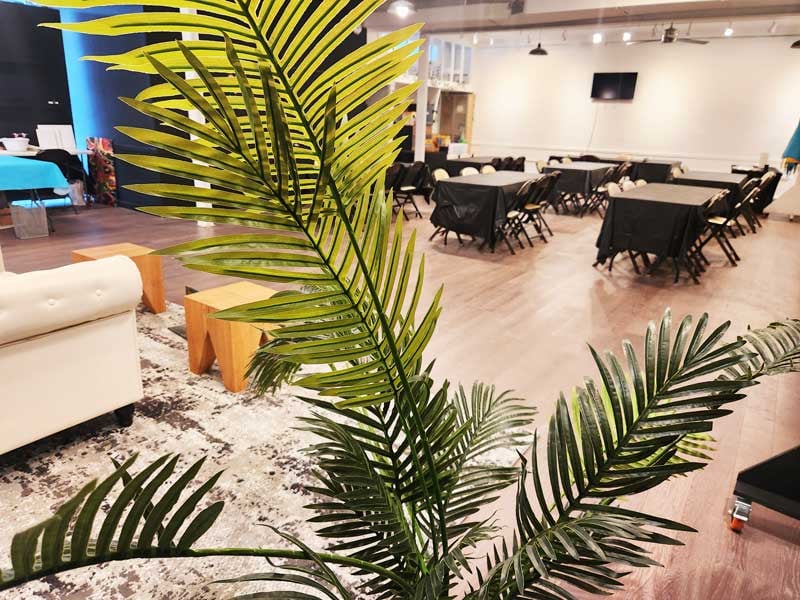 the-space-plant-view (002)-1