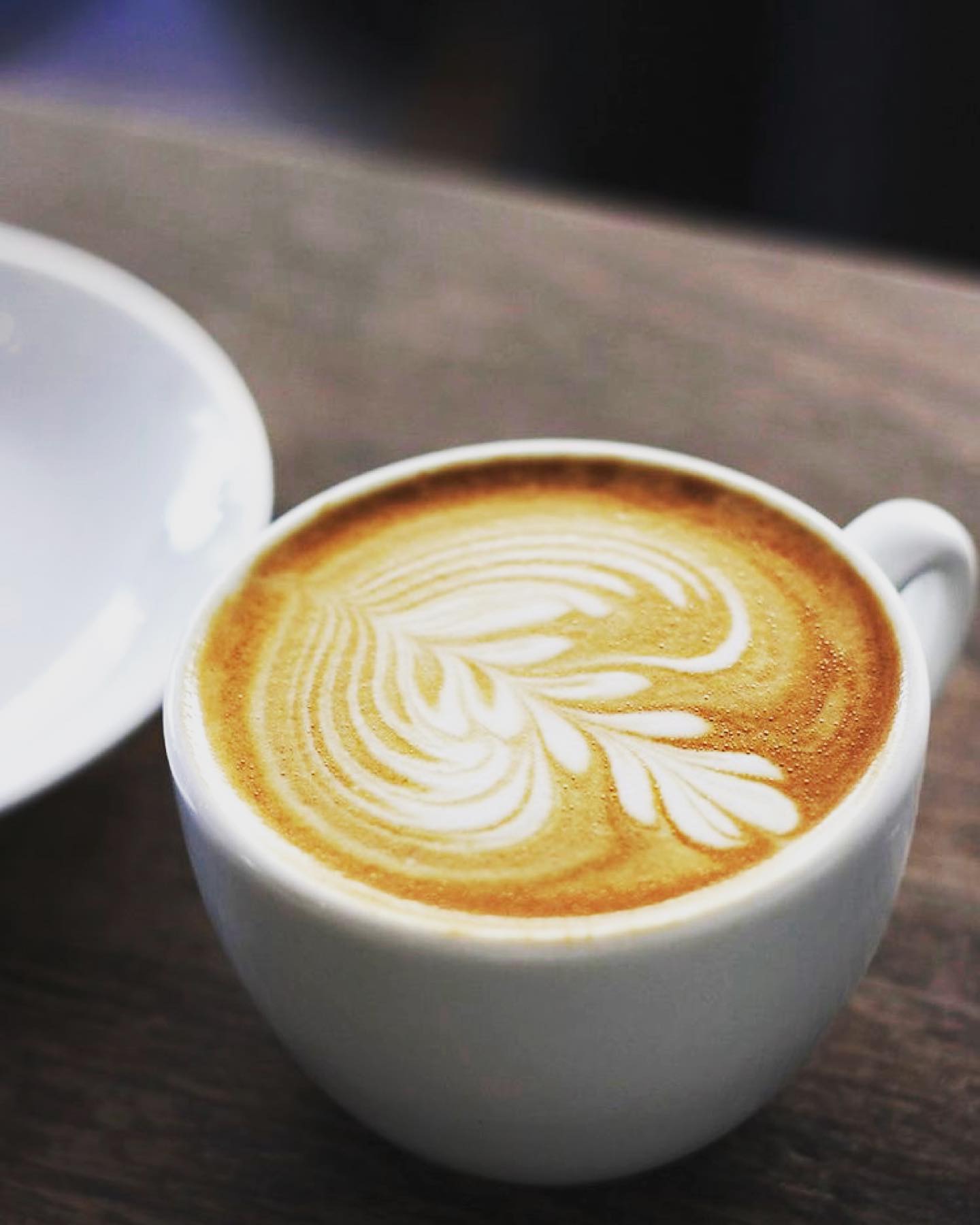 wise_cup-Instagram-2578-ig-17862245320415079