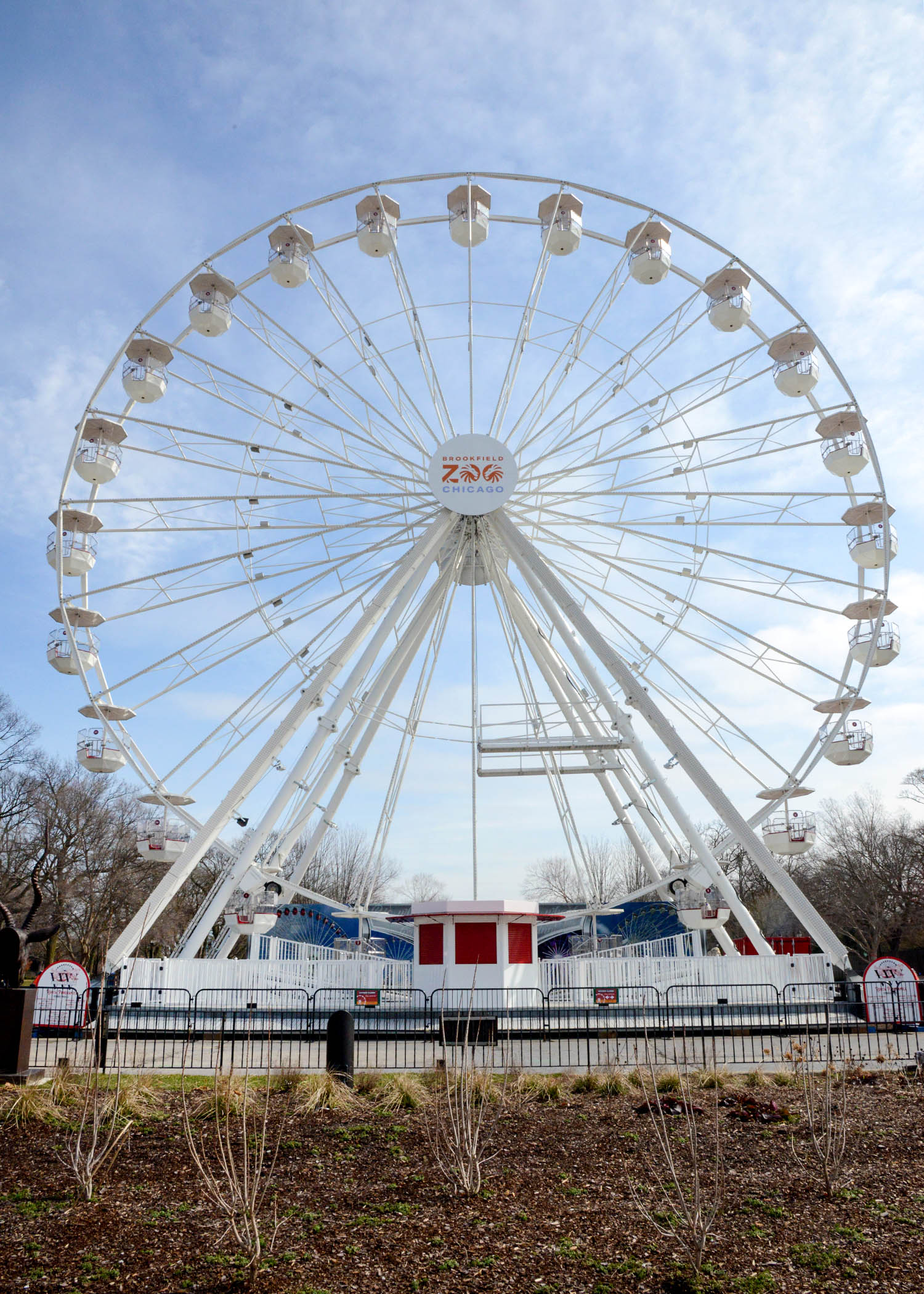 What's New at the Zoo: Brookfield Zoo Animals, Ferris Wheel & More!