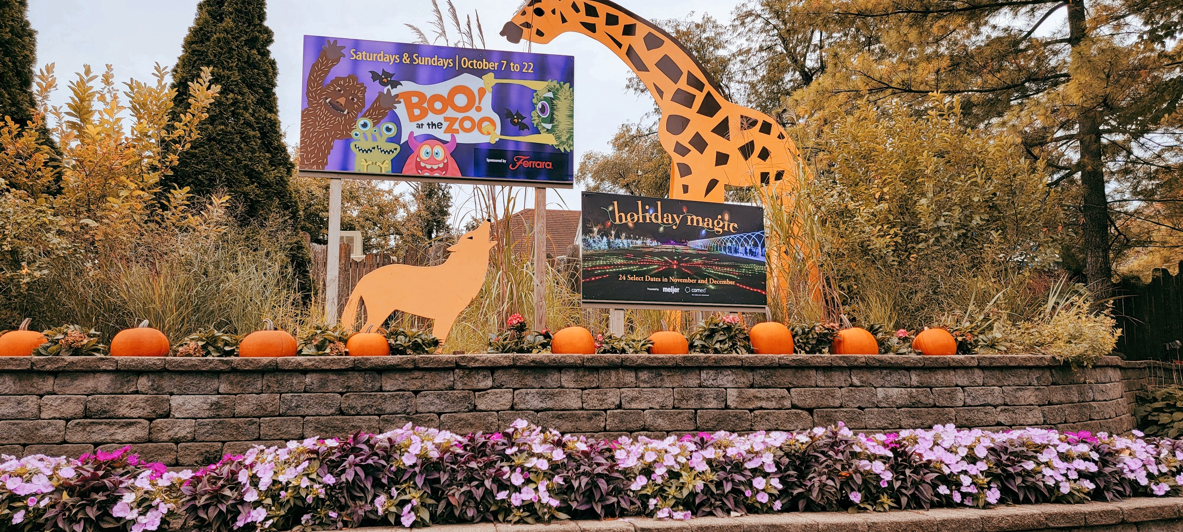 Brookfield Zoo Boo! at the Zoo & Other Fall Zoo Activities (Updated 2024)