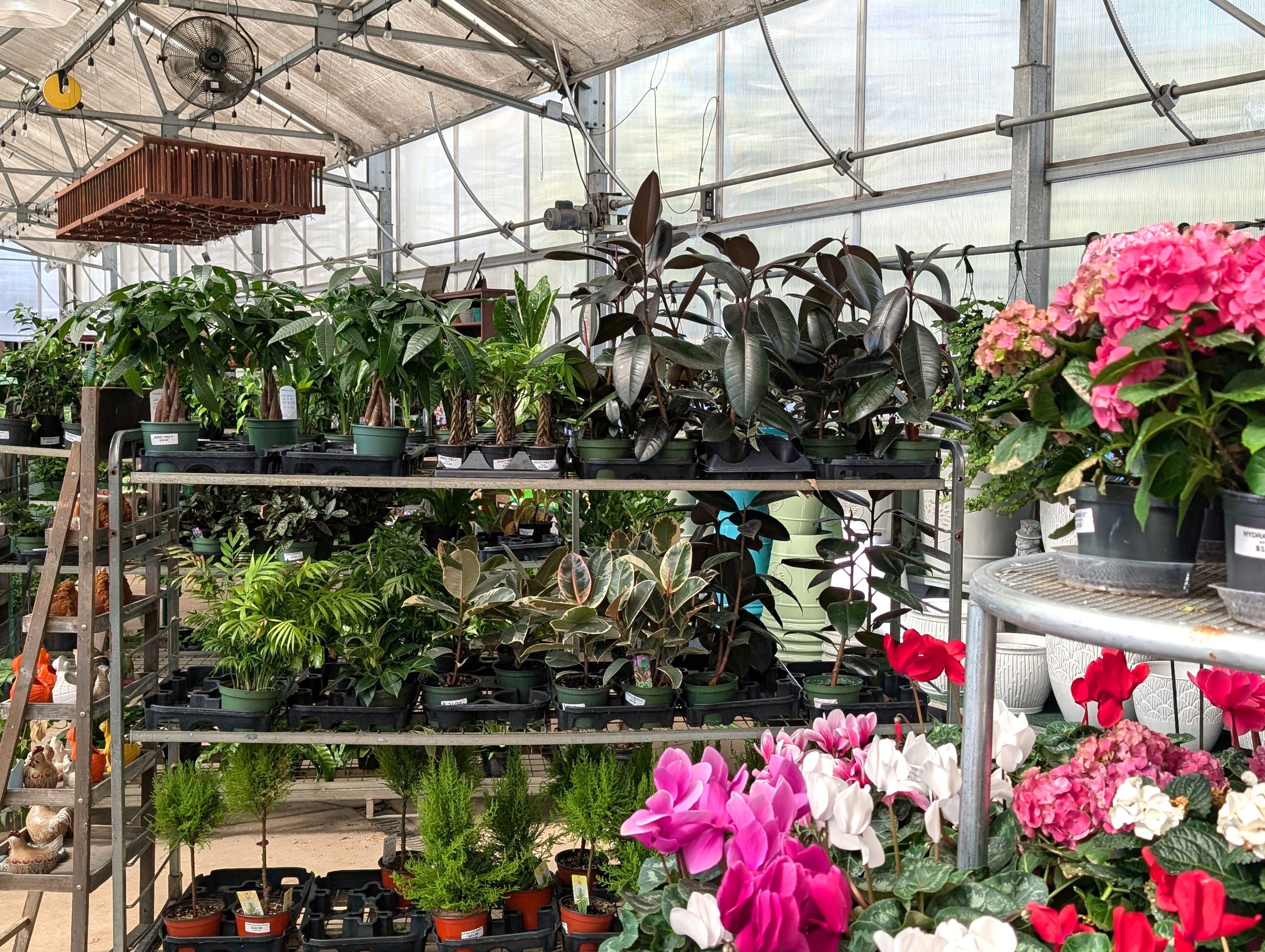 Why Good Earth Greenhouse in River Forest is a Gardener's Dream