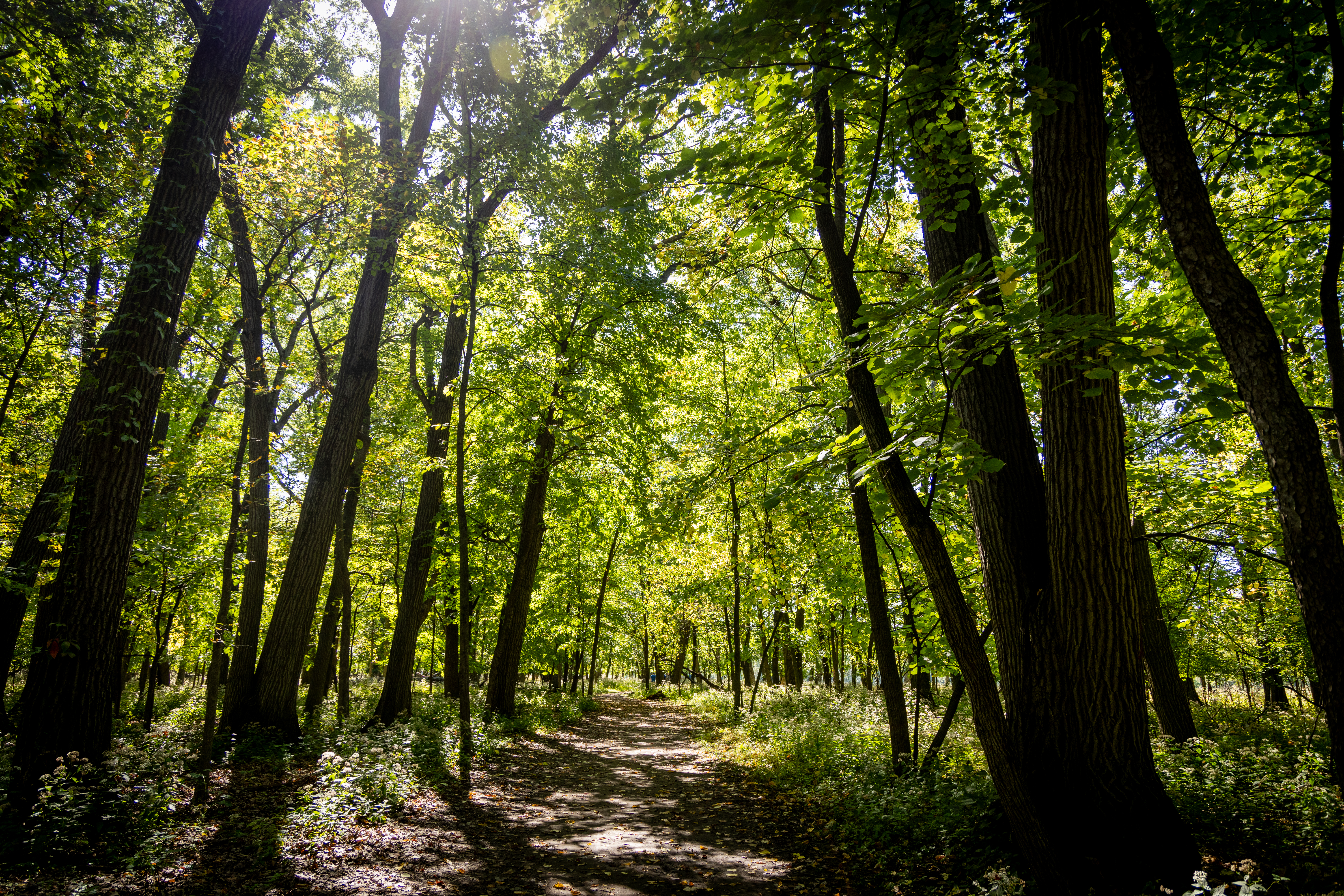 2310-THATCHERWOODS-05 (1)