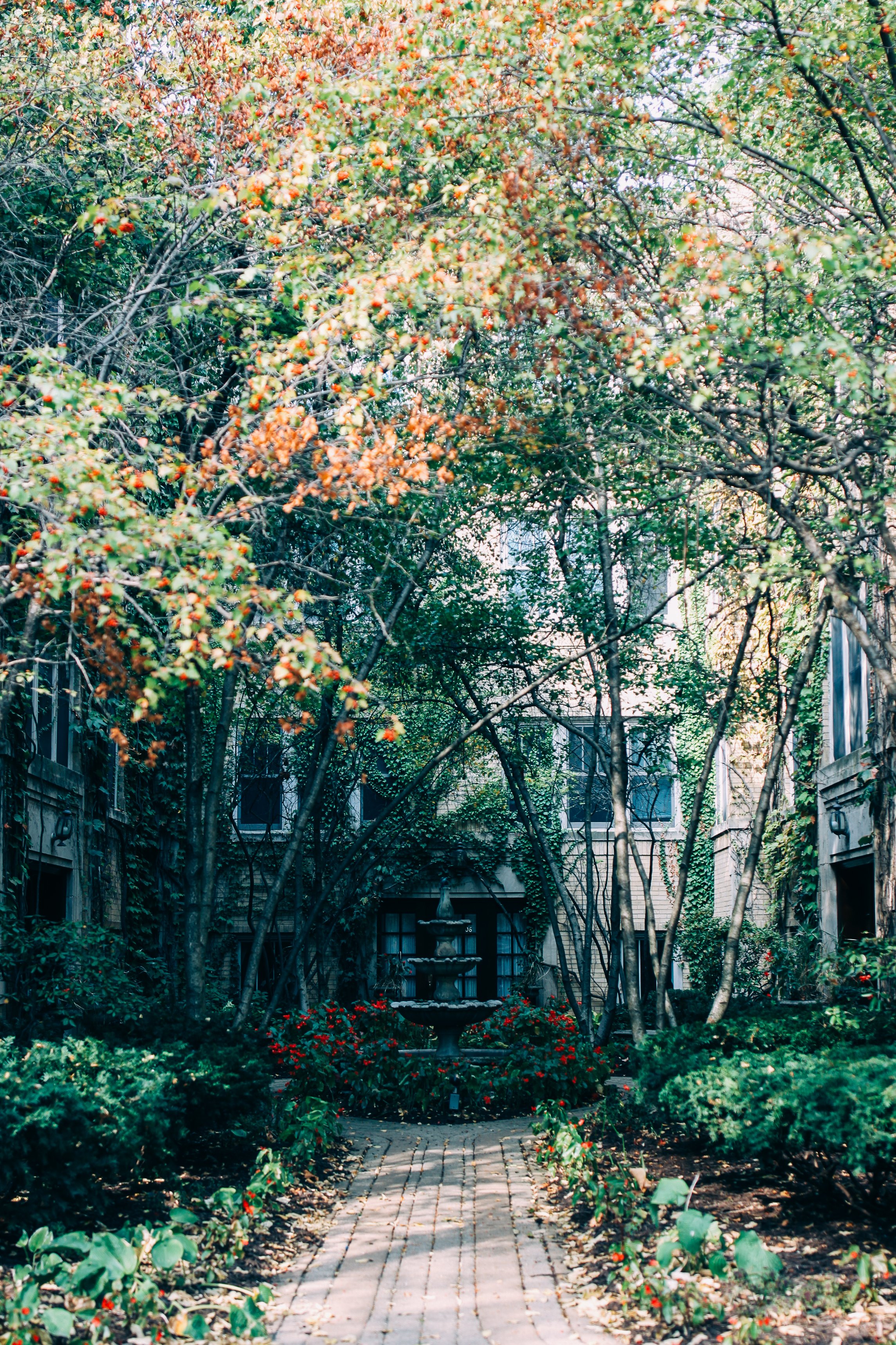 AllTogetherStudio_VisitOakPark_Session1-114