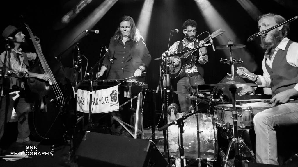 Don't Miss the Best Live Music: Oak Park & the Western Suburbs