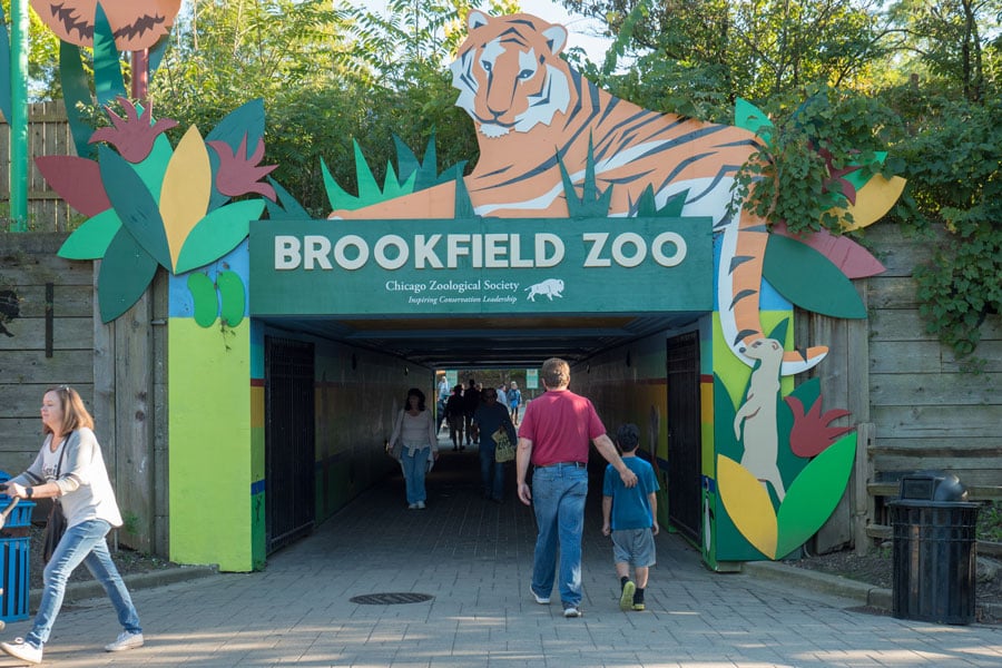 Where to Eat Near Brookfield Zoo