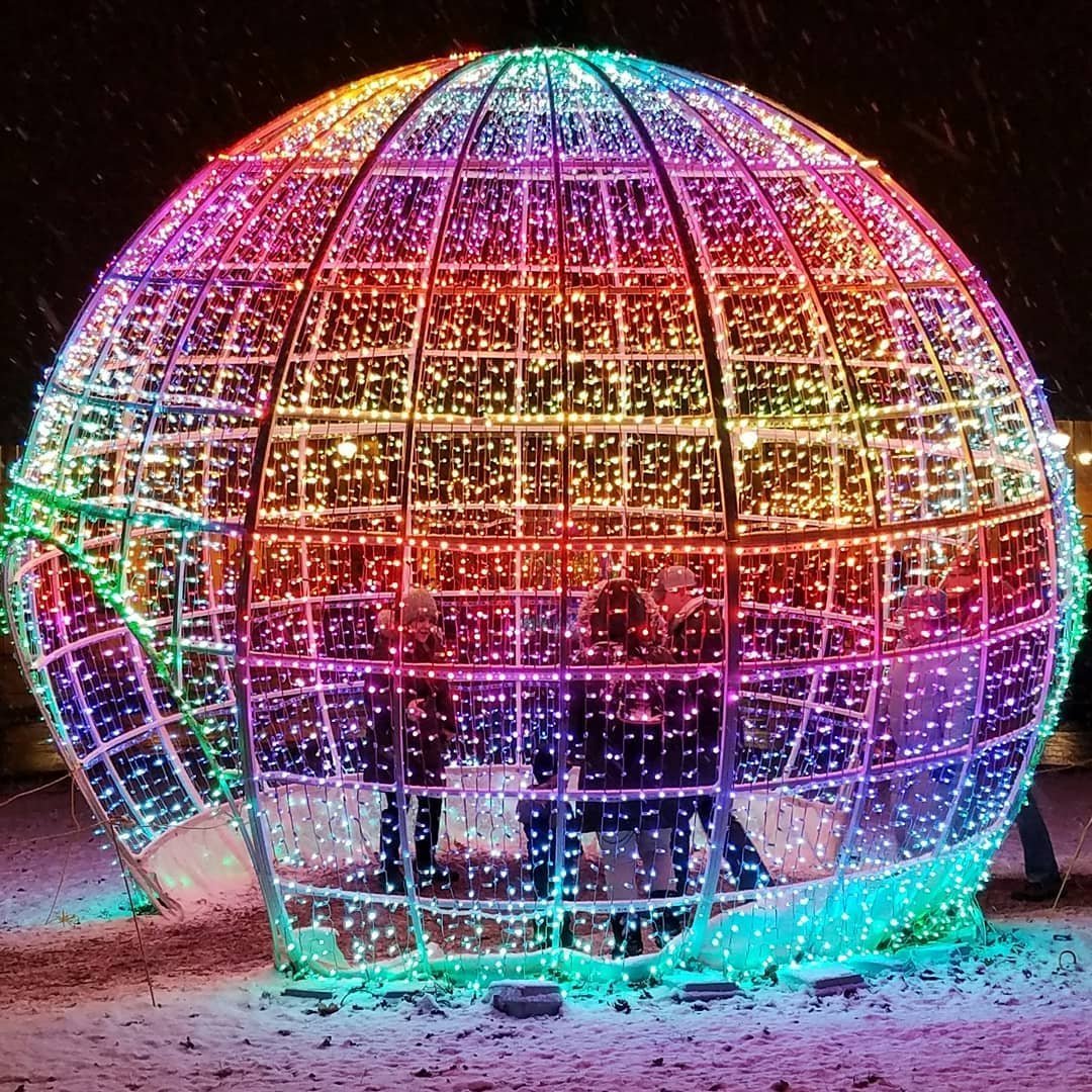 zoo lights