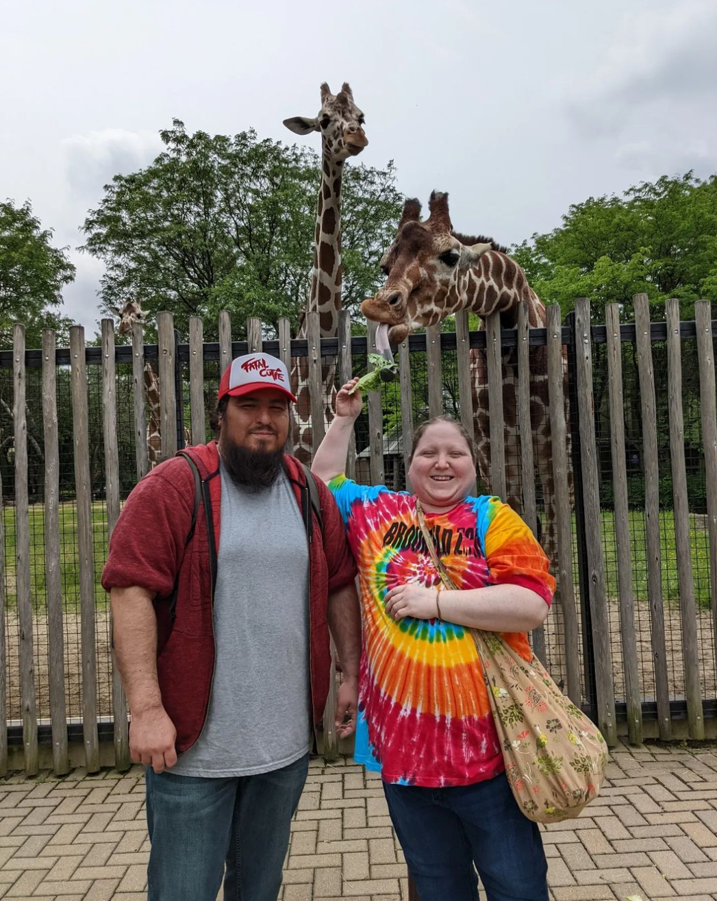 giraffe8