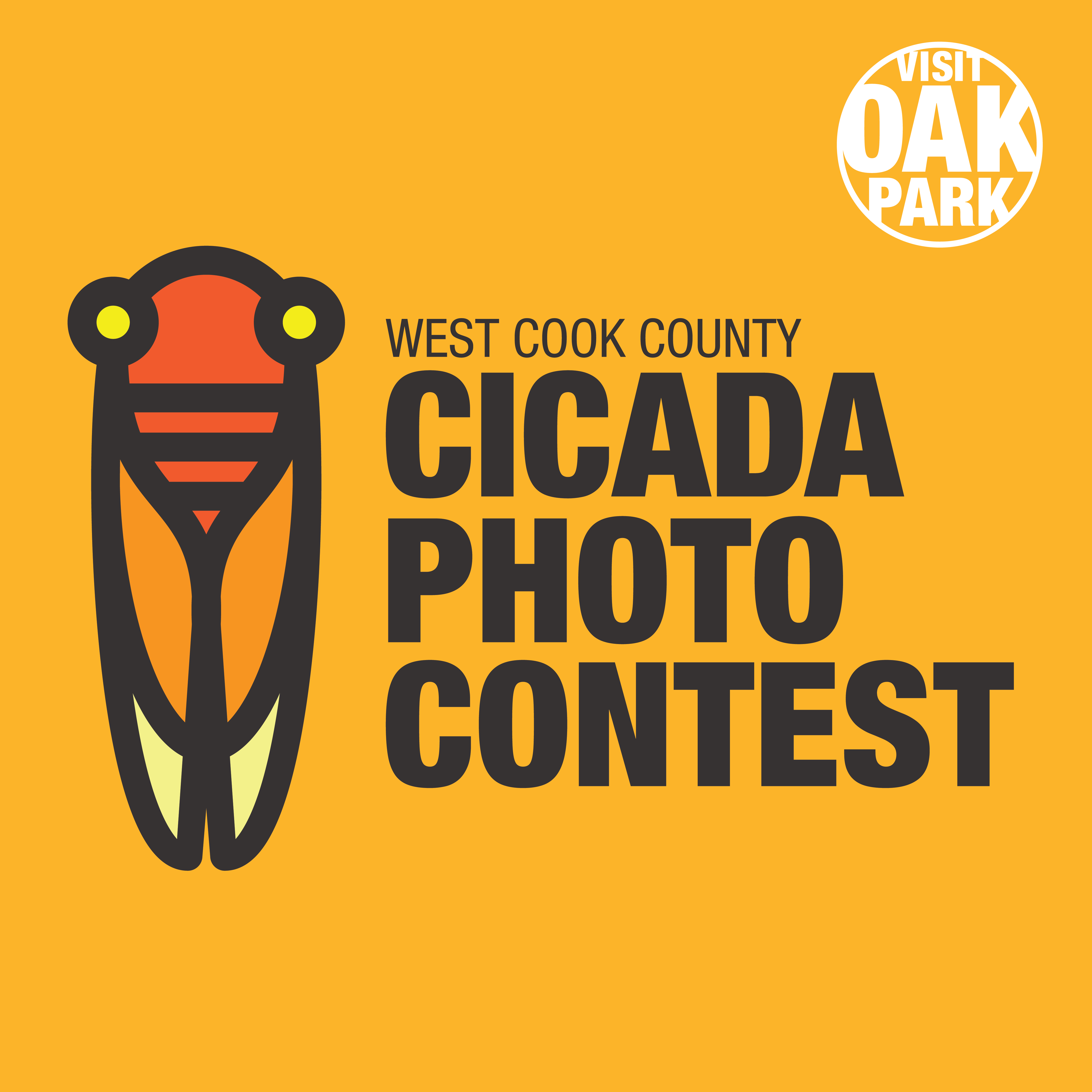 CC_CicadaContest