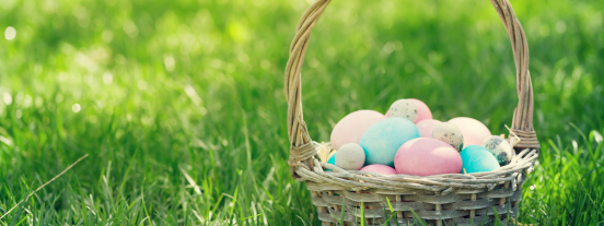 Egg Hunt at North Park