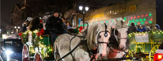 Forest Park holiday walk