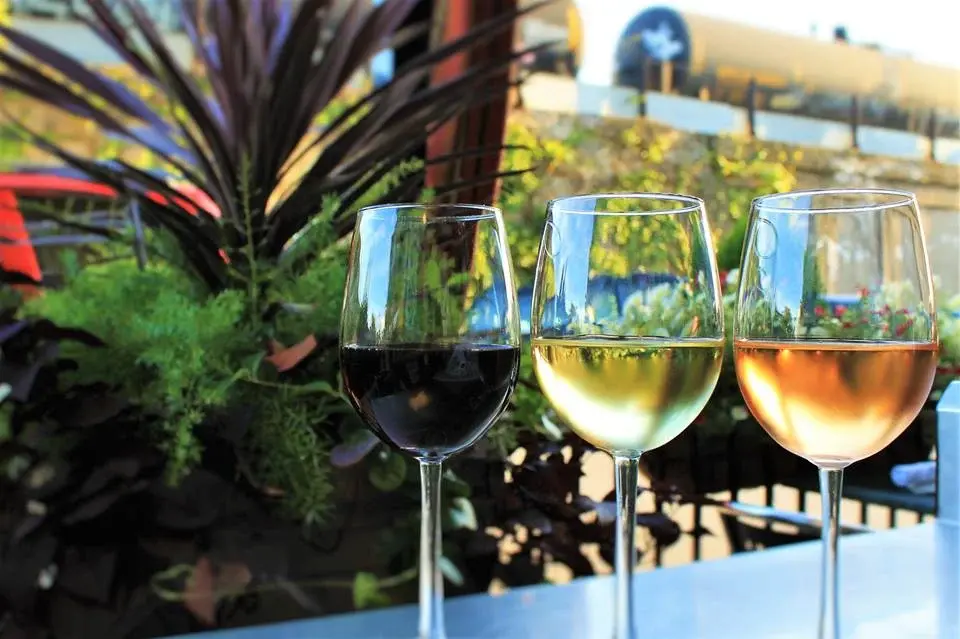 Half off wine at cucina