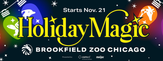 Holiday magic zoo lights