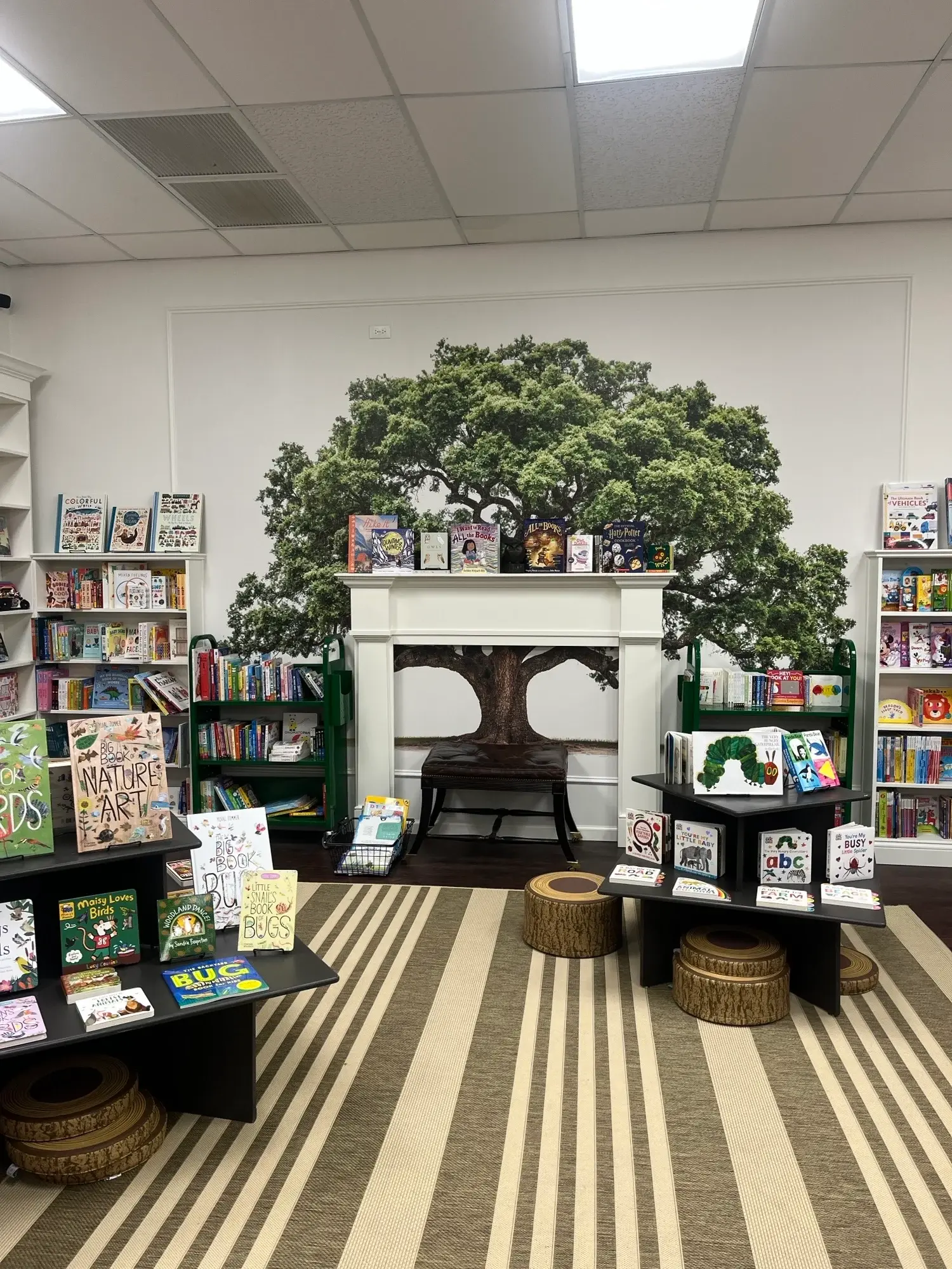 Find Your New Favorite Bookstore: Oak Park IL & the Western Suburbs (2026)