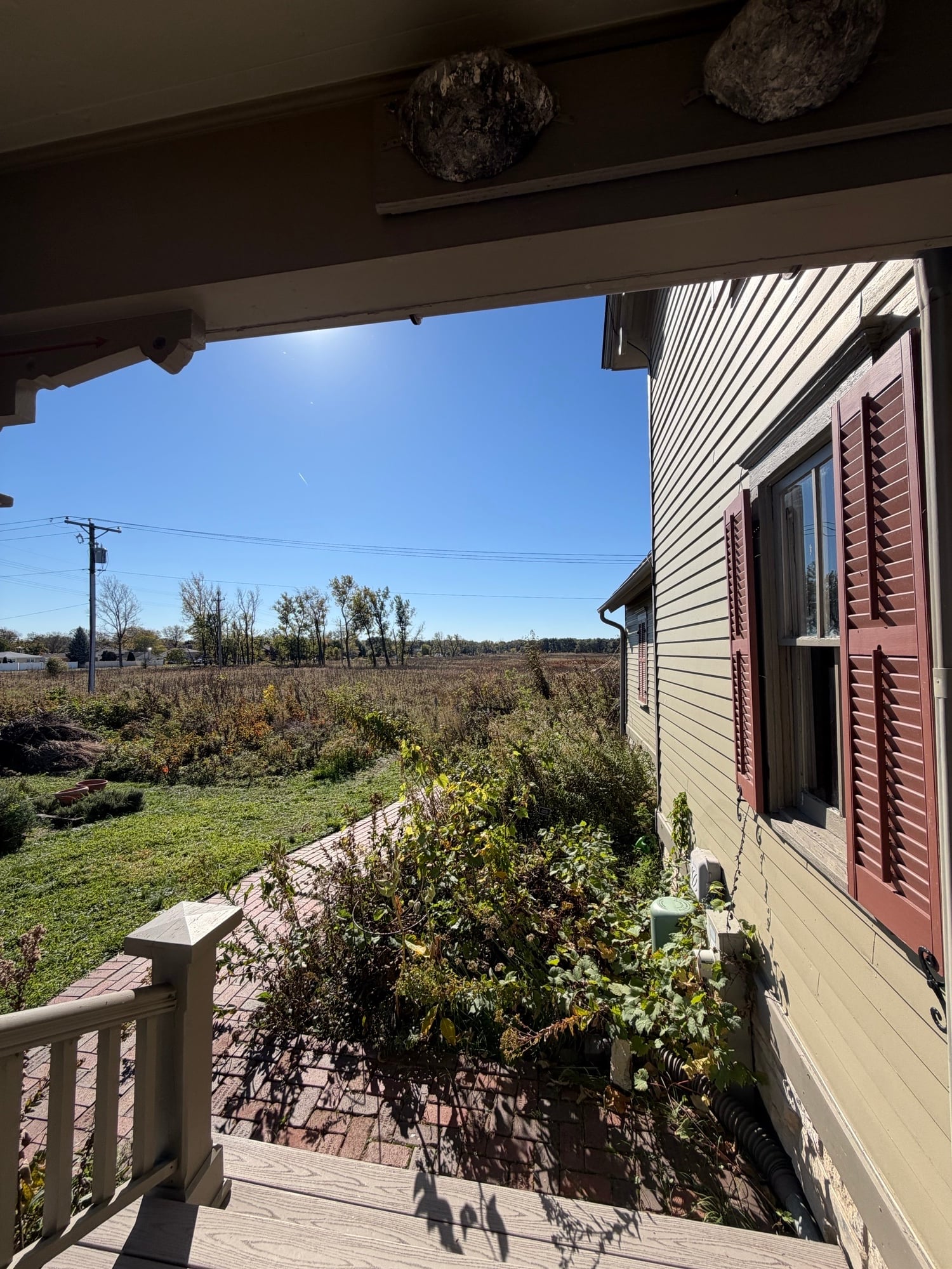 Westchester, IL forest preserve views