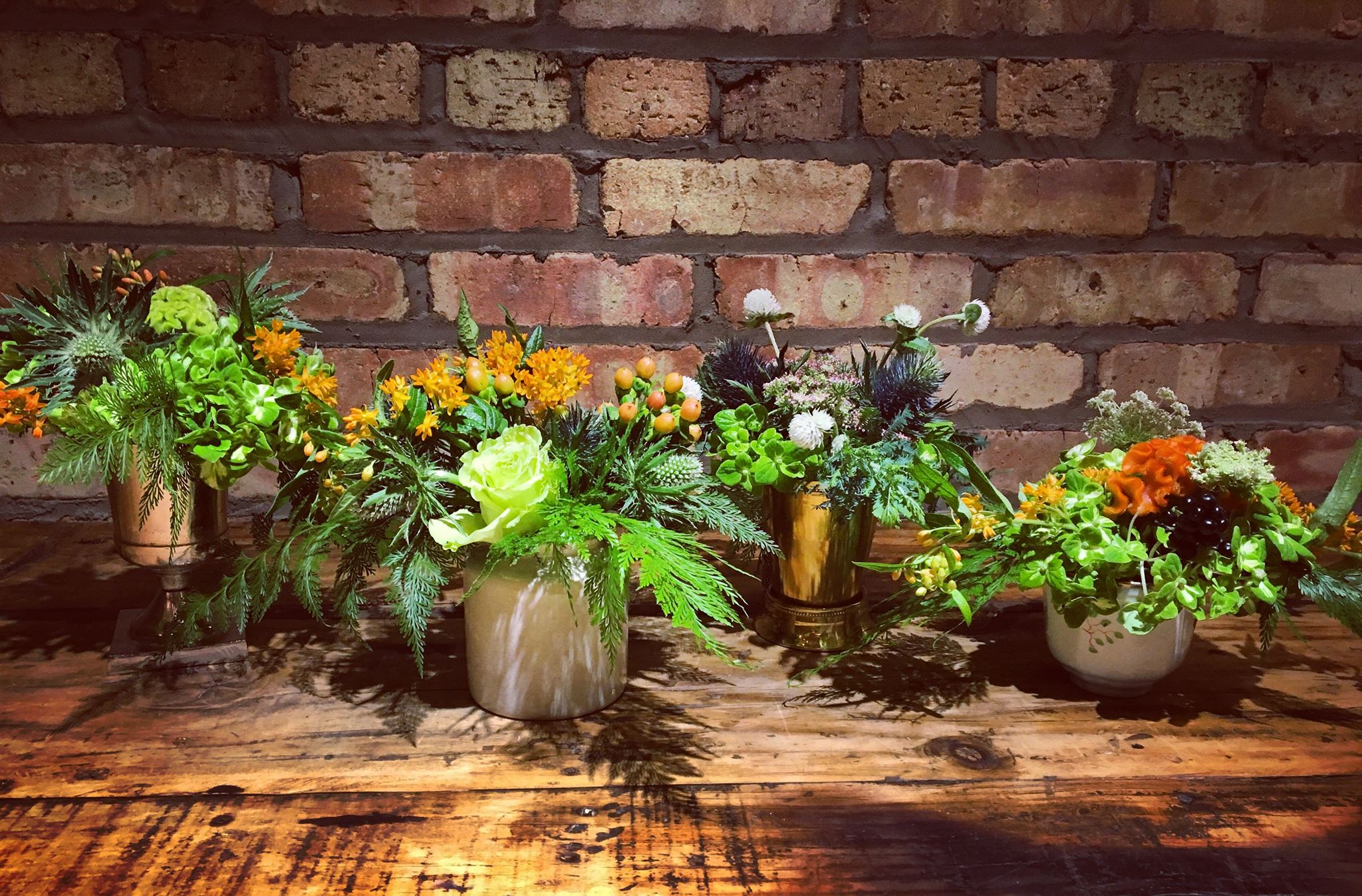 Make Indoor Plants Your Winter Hobby