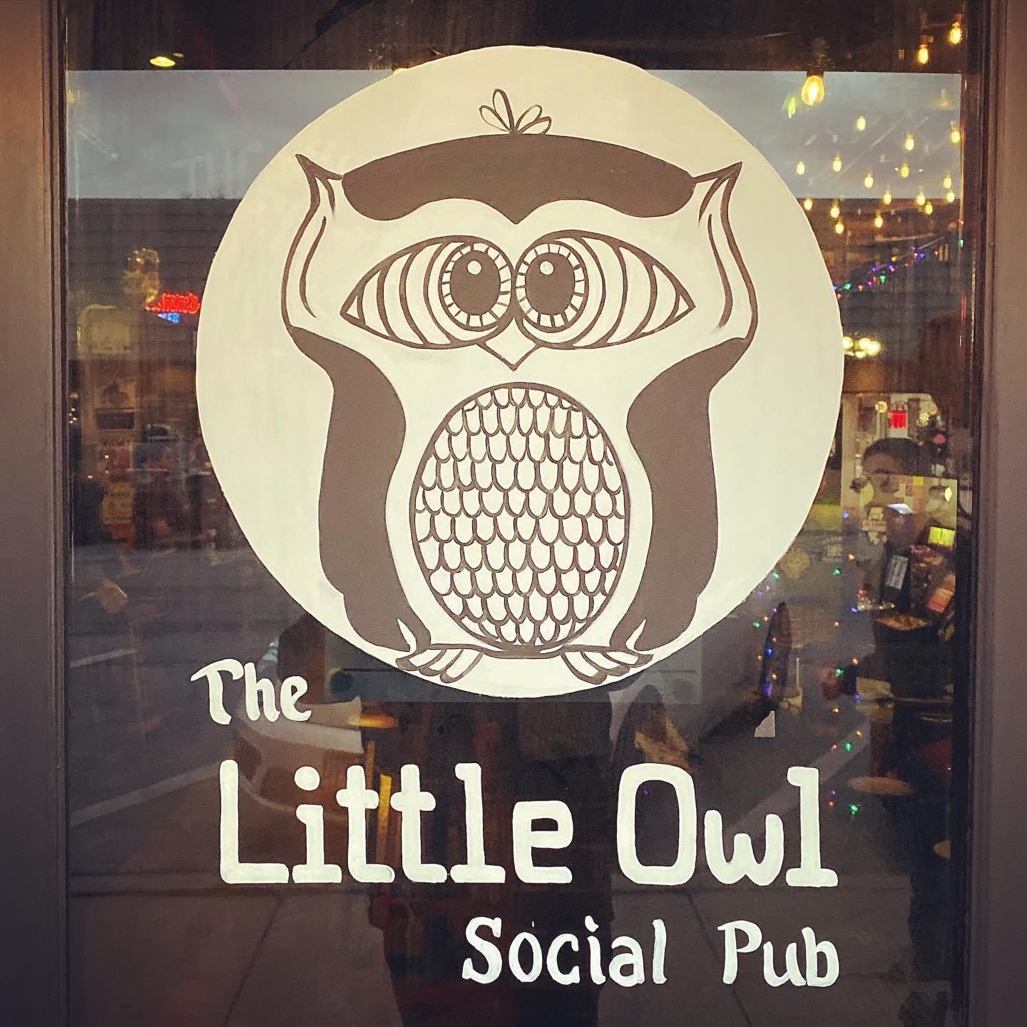 Little Owl 5