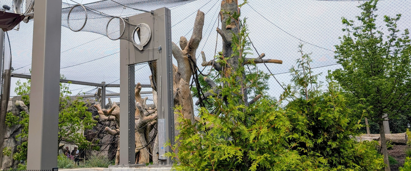 Visit the New Primate Habitat at Brookfield Zoo Chicago