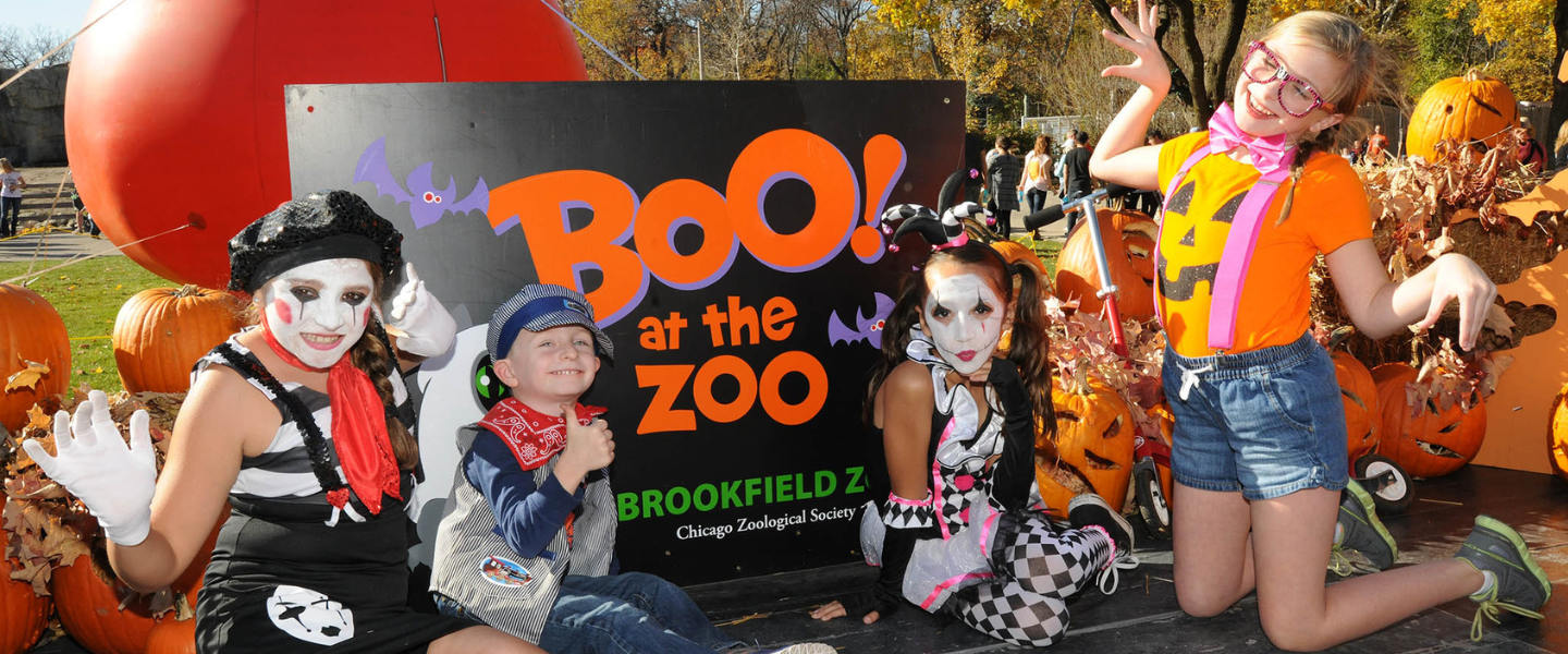 Brookfield Zoo Boo! at the Zoo & Other Halloween Events (Updated 2025)