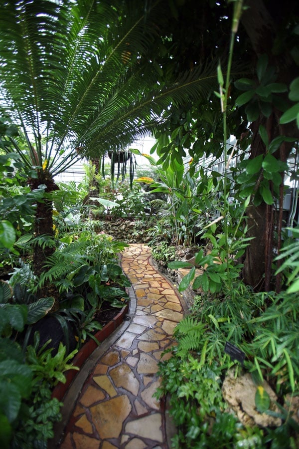 Oak-Park-Conservatory (1)