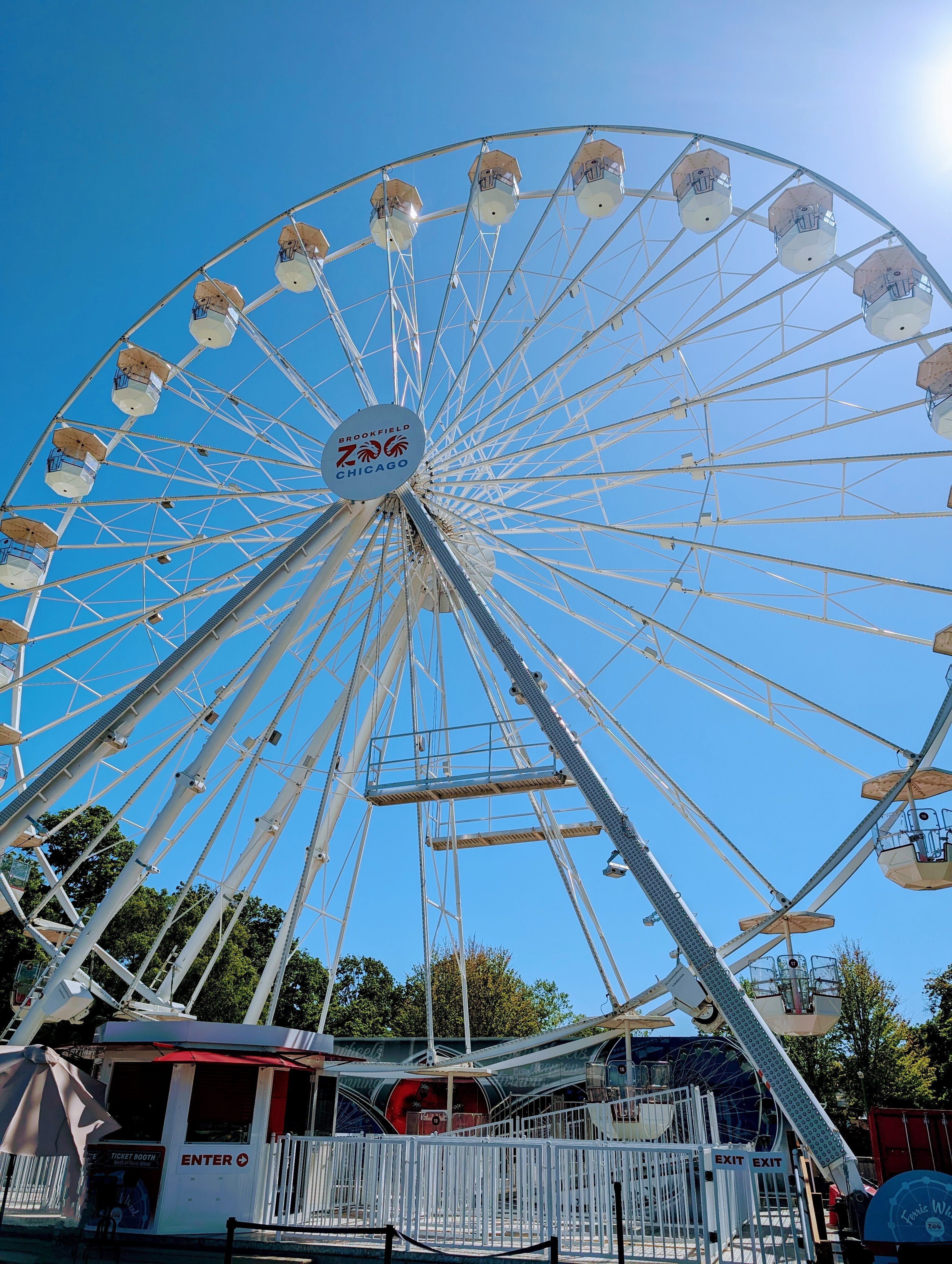 Why the Brookfield Zoo Ferris Wheel is the Best Spot to Plan Your Day