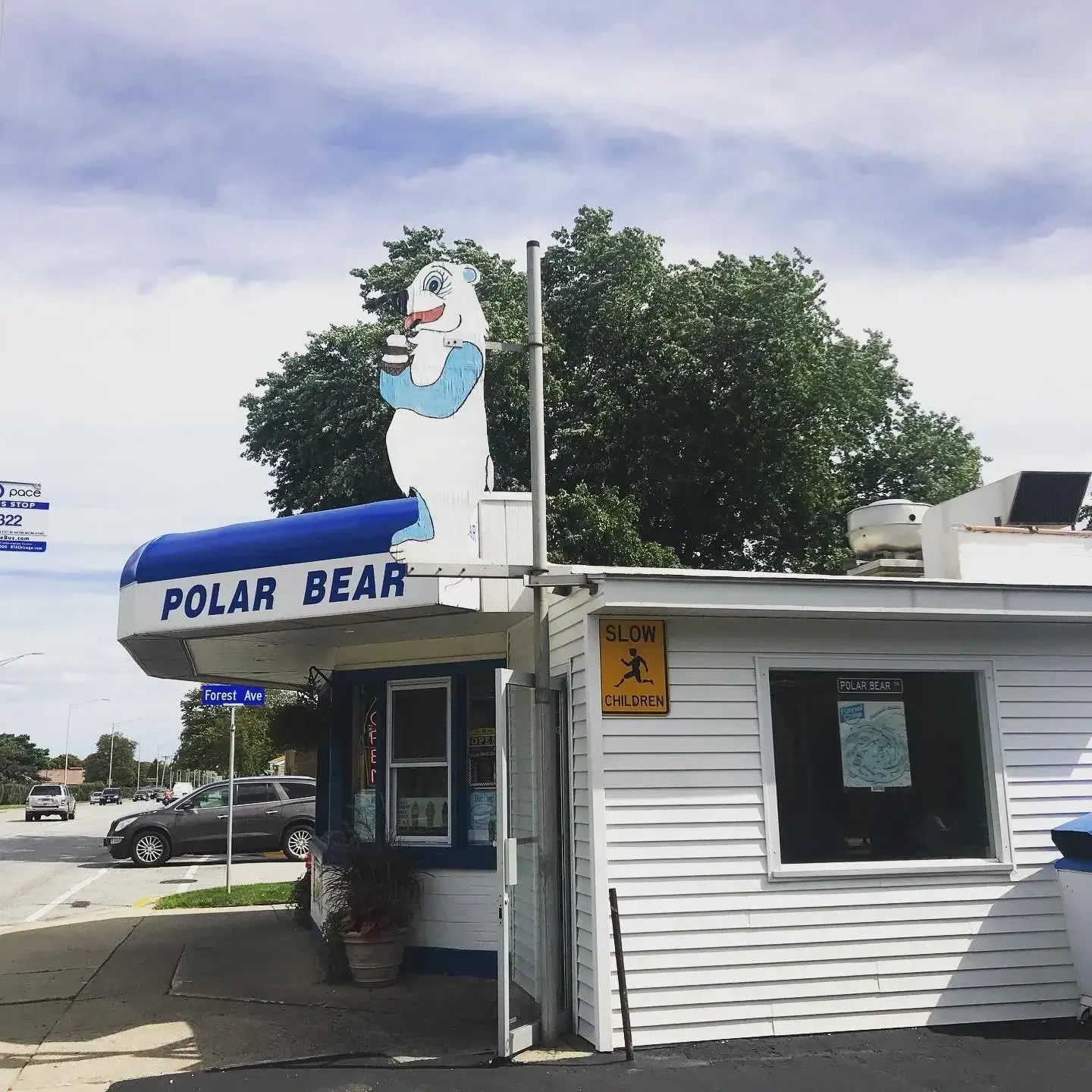 Polar 7 (1)