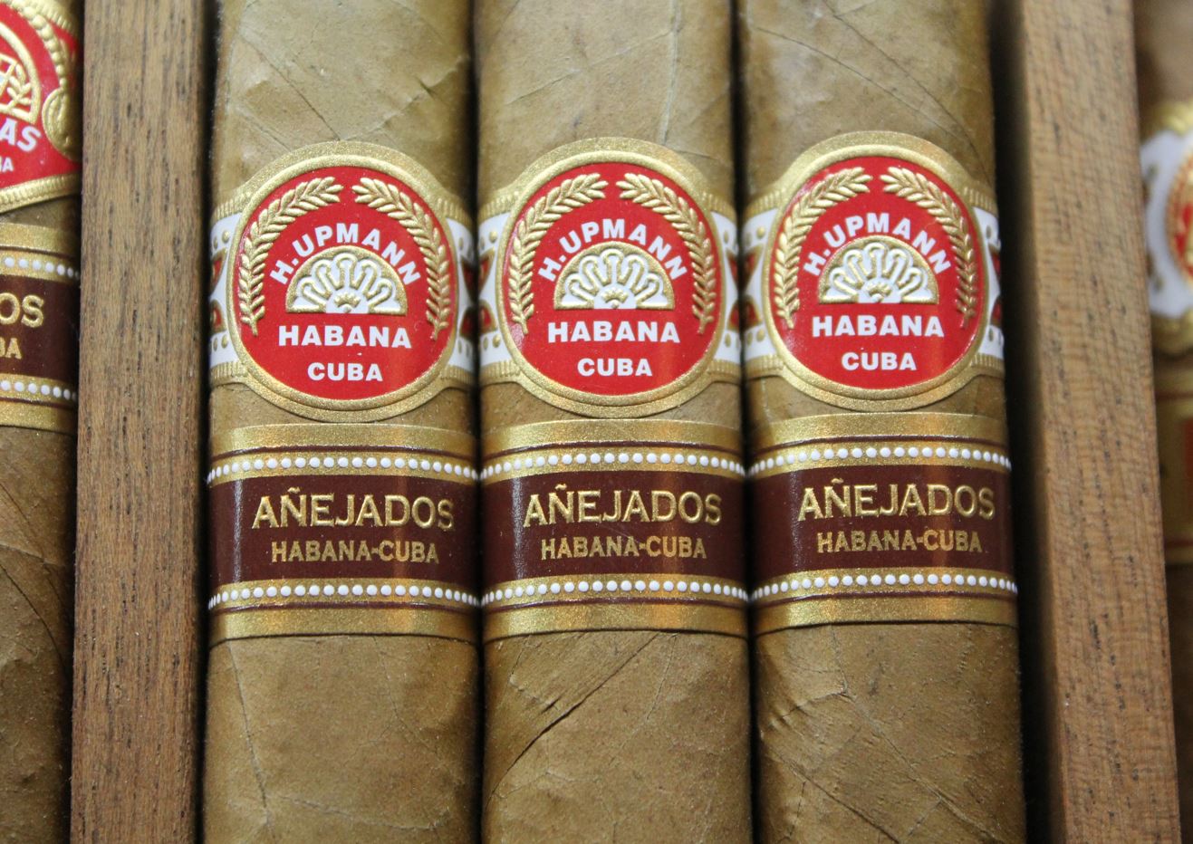 cigar2