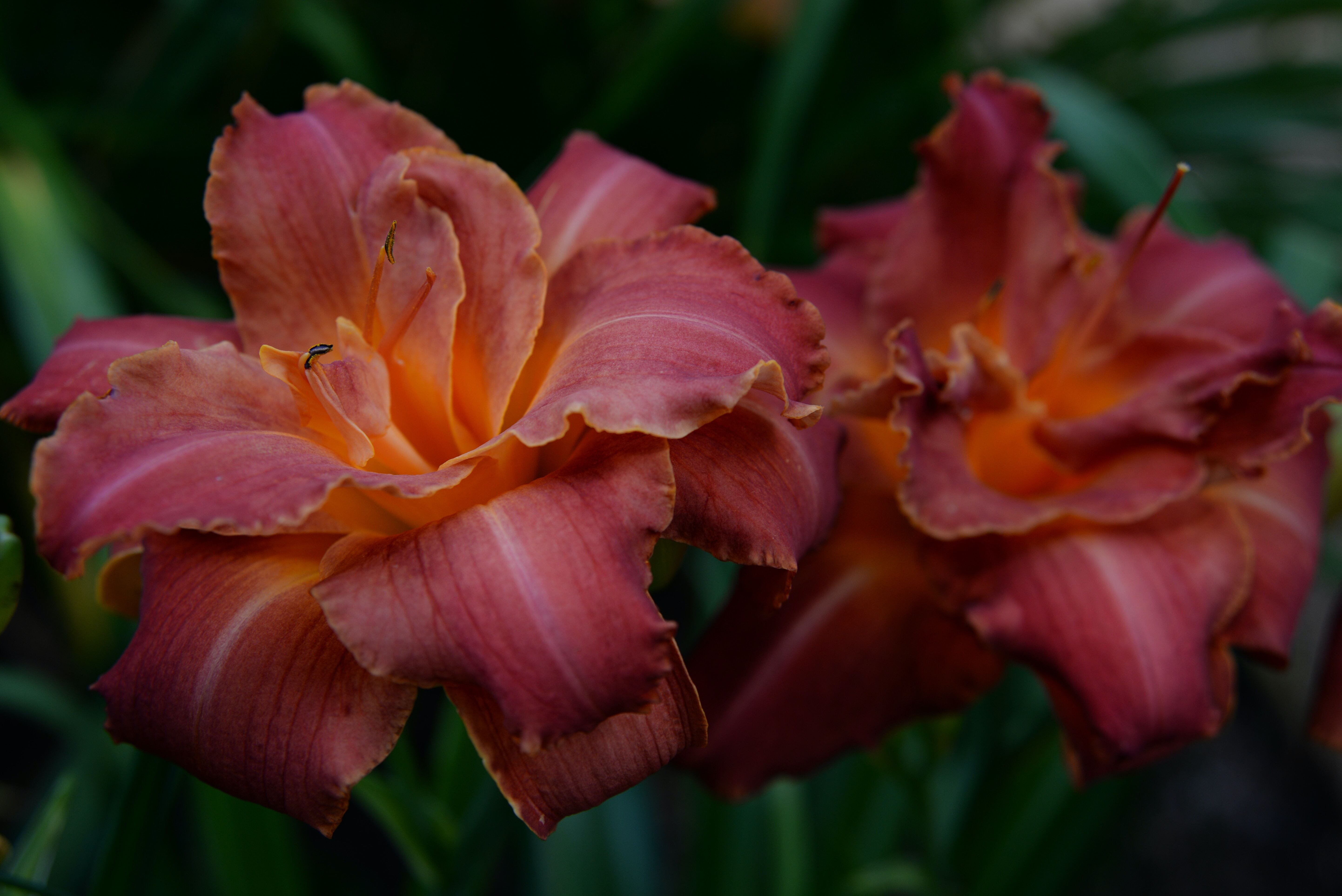 laura-ockel-XK4-J3VPk6s-unsplash