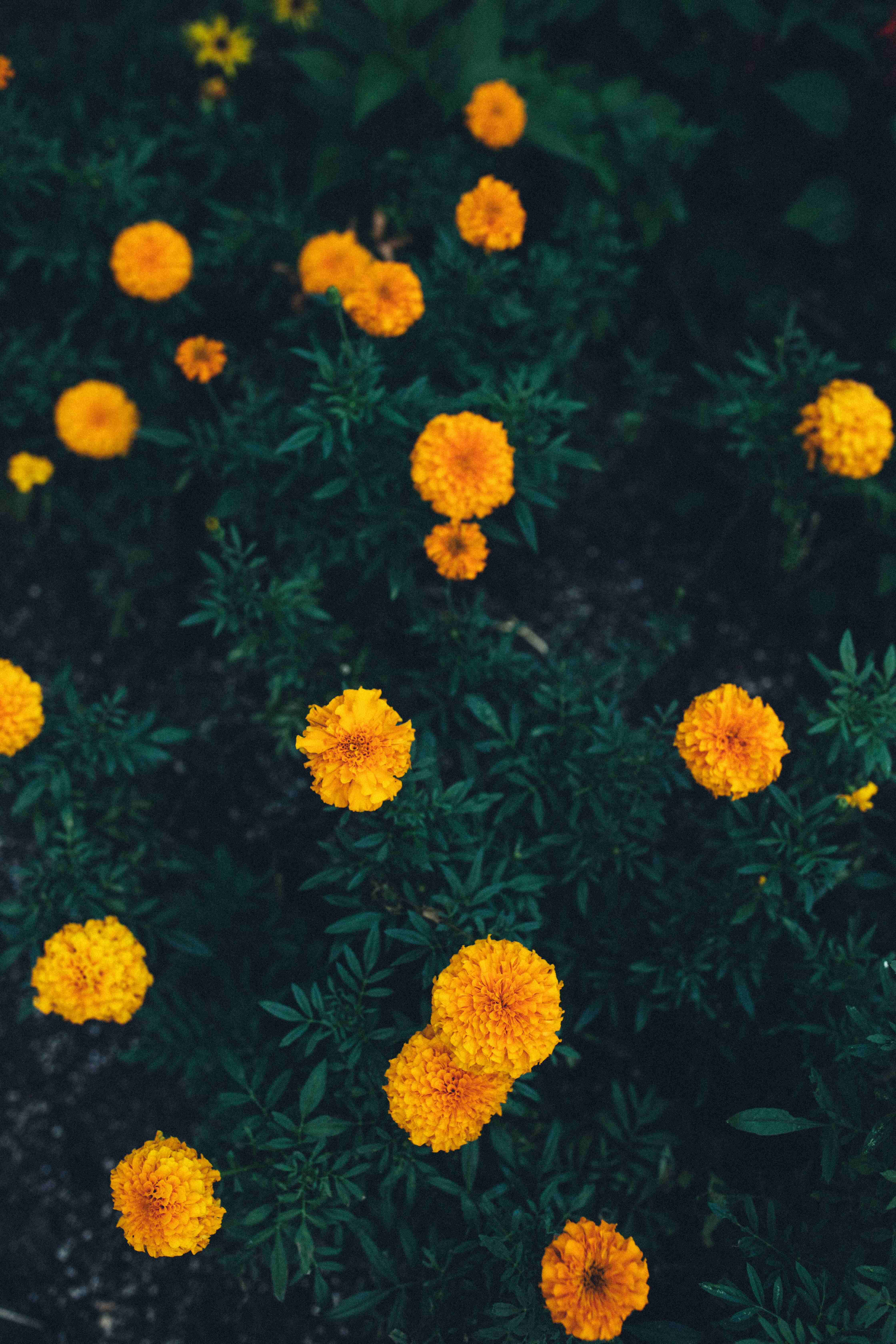 wes-hicks-Cp4IS3A4BxI-unsplash