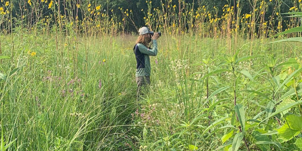 Westchester Westchester