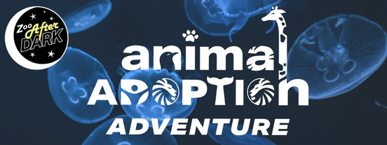 animal adoption adventure