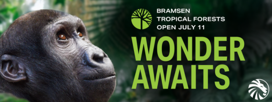 bramsen tropical forests