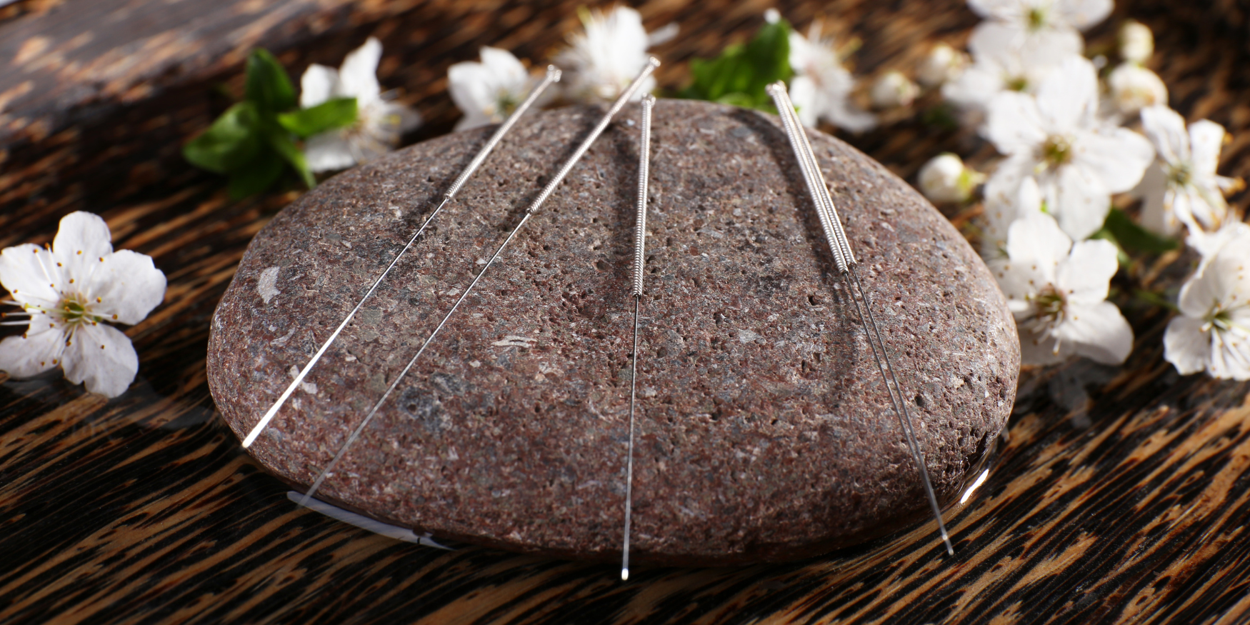 Holistic Wellness Locations In Oak Park and the Near West Suburbs