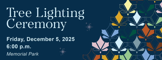 la grange park tree lighting