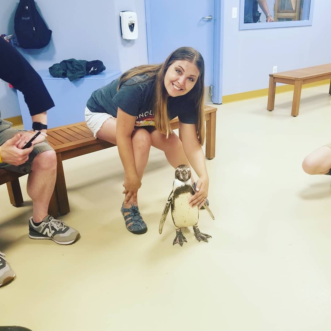 penguin 10