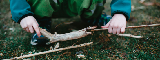 saturdays in the woods