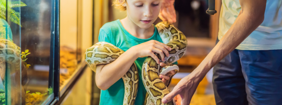 sensational snakes touch and learn