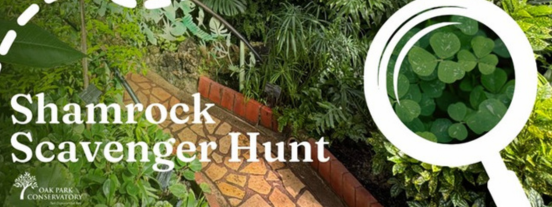 shamrock scavenger hunt