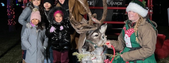 westchester winter wonderland walk (1)